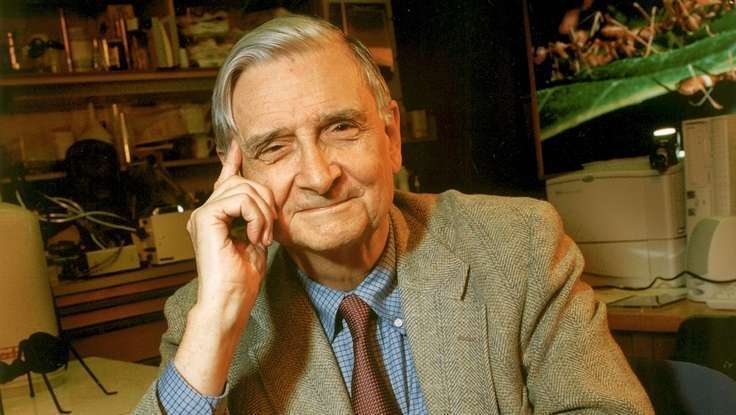 Good Scientists Don't Have To Be Mathematicians: Edward O. Wilson on NPR